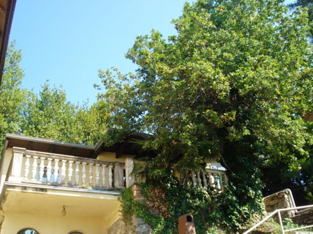 Apartments Villa Atta Opatija Rum bild